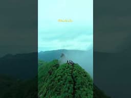 Illikkalkallu 🍃