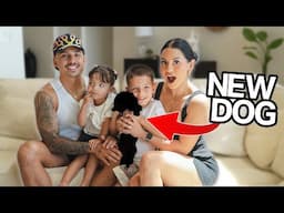 MEET OUR NEW FAMILY MEMBER! 🥹