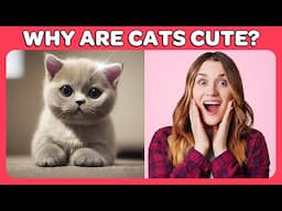 Why Are Cats So Cute?