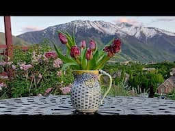 Hand-built Pottery Pitcher (Viewer Requested)!