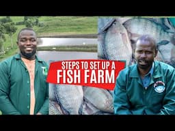 How To Start FISH Farming and Earn Millions