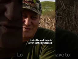 Throwback! Tūhoe legend, Rapaera.
