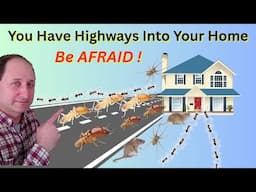 How to Prevent Pests From Entering Your Home - KEEP THEM OUT!
