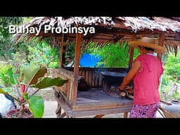 Buhay probinsya Buhay bukid Philippine countryside nagluto ng suman pilit dito sa farm @AmigaCha