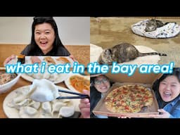 what i eat in a weekend in the bay area 😋 + new cat cafe!! 😻🍵