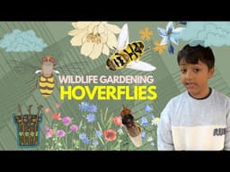 Wild about gardens: Hoverflies