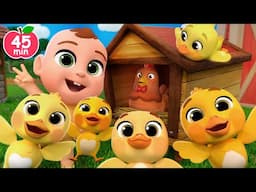 Learn Bird Names with Five Little Ducks! + MORE Lalafun Nursery Rhymes & Kids Songs
