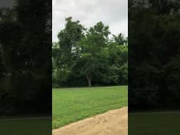 God opens the eyes of the blind part 2