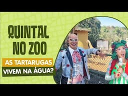 QUINTAL NO ZOO | AS TARTARUGAS VIVEM NA ÁGUA? | QUINTAL DA CULTURA