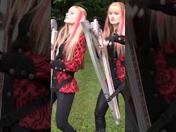 Iron Maiden “The Trooper” played on just 2 Electric Harps! No backing track! ⚔️⚔️ #ironmaiden m