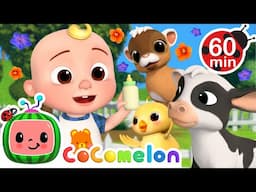 JJ's Baby Farm Animals Escape! 🐤 | CoComelon Animal Songs for Kids + More Popular Nursery Rhymes 🎵