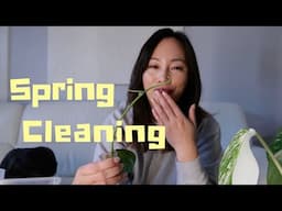 Spring Cleaning: Monstera Albo Glow-Up, Surprise Finds & One Plant I'm Finally Letting Go
