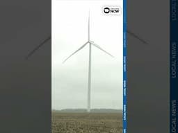 Grassley defends wind energy after Trump calls turbines "stupid"