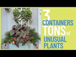 Not your basic container recipes