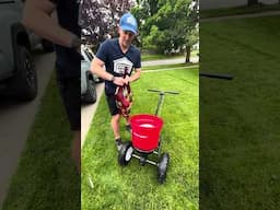 Do this in June to help GRUBS in your LAWN
