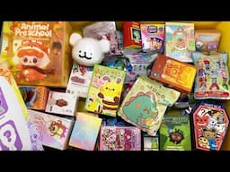 60 minutes of mystery surprise blind boxes Pop Mart, Sanrio ASMR Unboxing Sounds