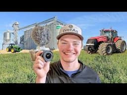 A Day In The Life Of A YouTube Farmer (The Good, Bad, And Ugly)