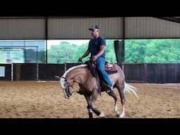 Tip of The Week! Answering a Rein Train Question: How to Ride a Sensitive Horse Without Gripping.