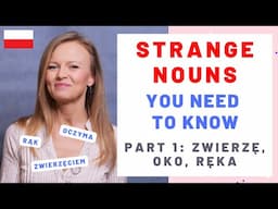 3 irregular nouns explained: zwierzę, oko, ręka (B1/B2)