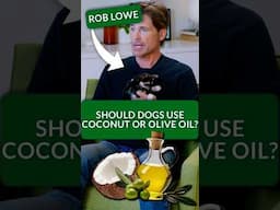 Olive Oil for Dogs? Rob Lowe Takes on Dog Trivia to Win Puppy Playtime!