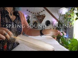 asmr reiki 🌿 spring sound healing session 🌺singing bowls | rattle | kambaba jasper | sprays