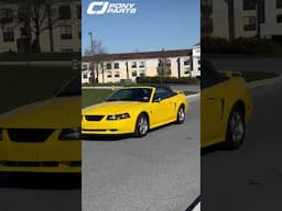 Mustang Club of Central PA Cruising!🔥