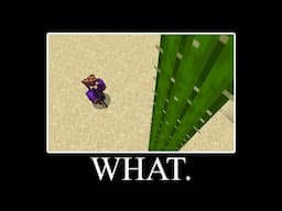 20 Minutes of the Silliest Minecraft Clips