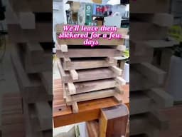 That First Pass Through the Planer... 😍 Grizzly Tools in Action