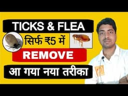 आ गया नया तरीका - केवल ₹5 में हटाएं TICKS & FLEA.