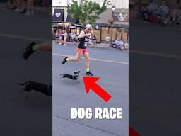 Can Wiener Dog Win Race?