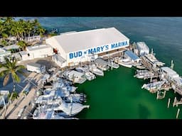 The Family Business (Bud n' Mary's Marina)