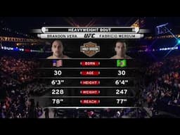 Brandon Vera vs Fabricio Werdum