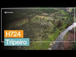 🌿 Serenity in Portugal: Rustic Property of 5,6 Hectares Bordering a River! H724 Tripeiro - €45,000🌊🏡