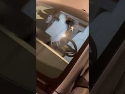 Broken glass on our Model Y