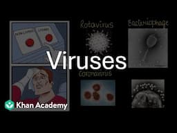 Viruses | Living World and Classification of Microbes | Middle School | Science | Khan Academy
