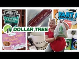 DOLLAR TREE SHOP WITH ME SERVED A BREATH OF NICOLE MILLER & 1.25 FART WHISTLE FOR SUMMER SHENANIGANS