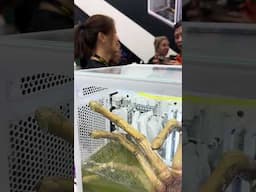 There's a Facehugger Trapped in This PC #computex #pcbuild #custompcbuild #pcmod #scifi