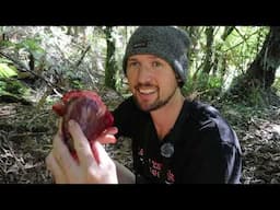 Hunting for bush meat
