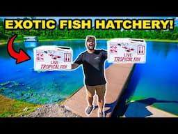 Building EXOTIC Fish HATCHERY in the BACKYARD!!! (Will They Survive?)