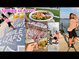 Spend a day with me - Spring at the waterfront in Toronto Canada. Things to do - Vlog -Canada Living