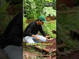 Begini jadinya kalau Gen Z berkebun