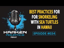 Kraken Aquatics Podcast #034 - Best Practices for Snorkeling with Sea Turtles in Hawaii