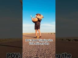Road Tripping across the USA with my dog! #roadtrip #adventures #dogshorts #doglover #roadtripusa