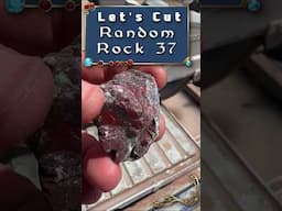 Mystery Rock #37: What’s Hiding in This Dark Jasper?