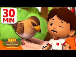 PROTECT THE BAYA WEAVER AND ITS NEST! 🐦🪺 | 30 Min | Leo the Wildlife Ranger | #animals