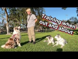Training when out and about
