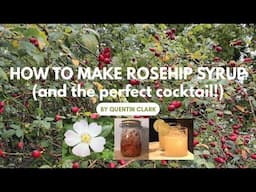 How to Make Rosehip Syrup (and the perfect cocktail!)