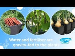 AutoPot Brand Video