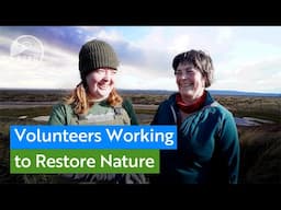 See how volunteers are helping restore nature at RSPB's Culbin Sands reserve