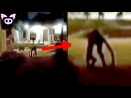 Everyone's Searching For These Chilling Videos - The Haunted Doll Will Make You Shiver